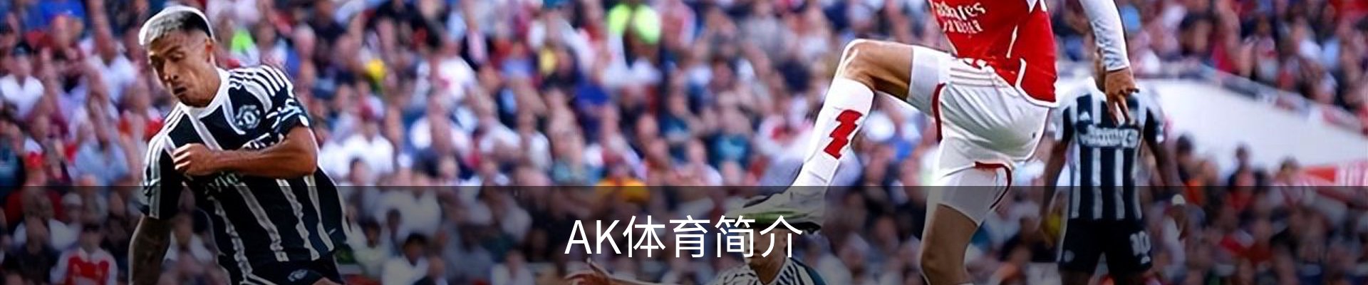 AK体育简介